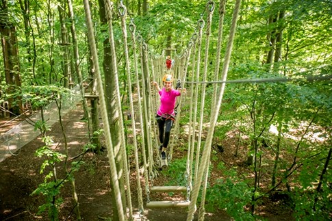 Camp Adventure climbing park