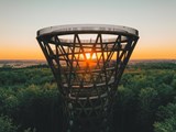 The Forest Tower Camp Adventure