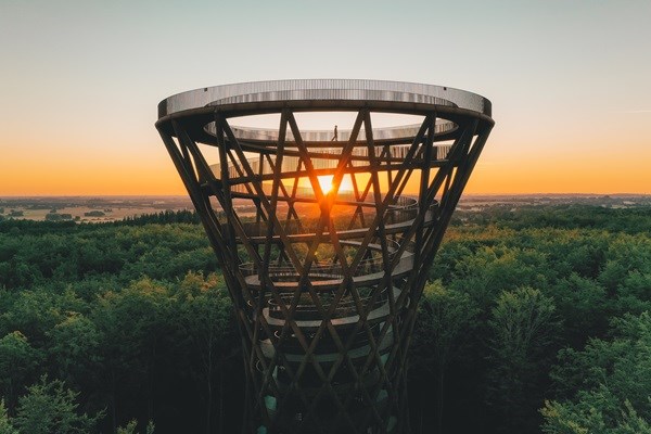 The Forest Tower Camp Adventure